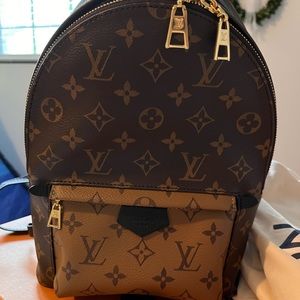Louis Vuitton Palm Springs PM Backpack - Reverse Monogram